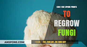 Regrowing Fungi with Spore Prints: A Comprehensive Guide to Success