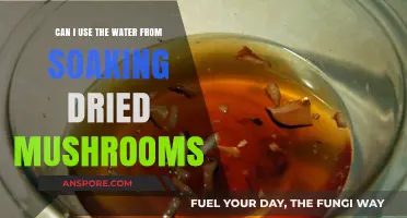 Reusing Mushroom Soaking Water: Benefits, Risks, and Culinary Tips