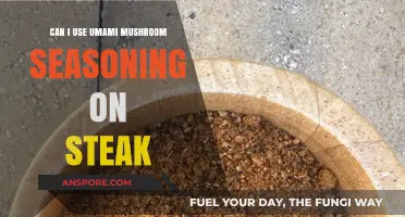 Umami Mushroom Seasoning on Steak: A Flavorful Culinary Adventure