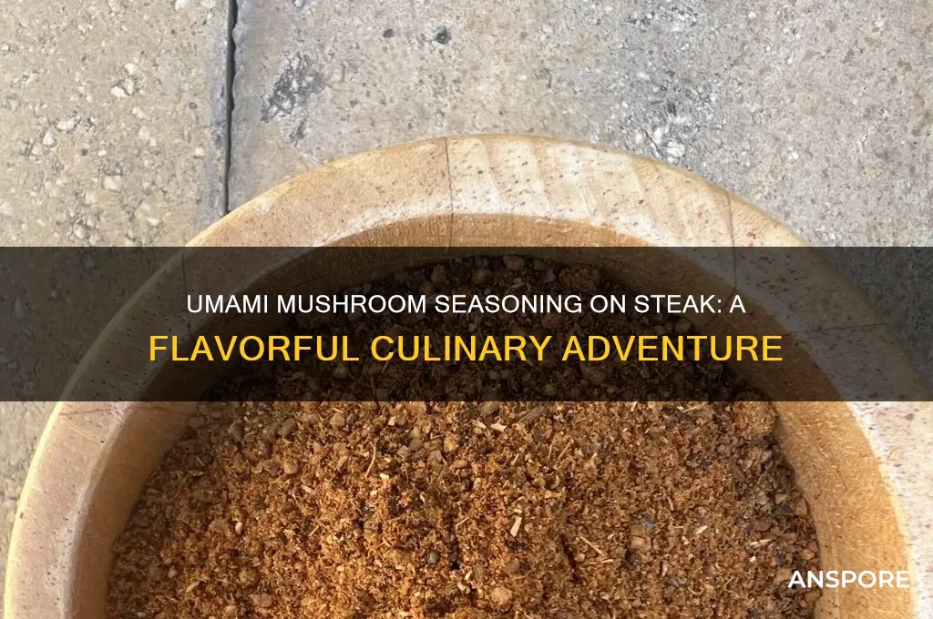 can i use umami mushroom seasoning on steak