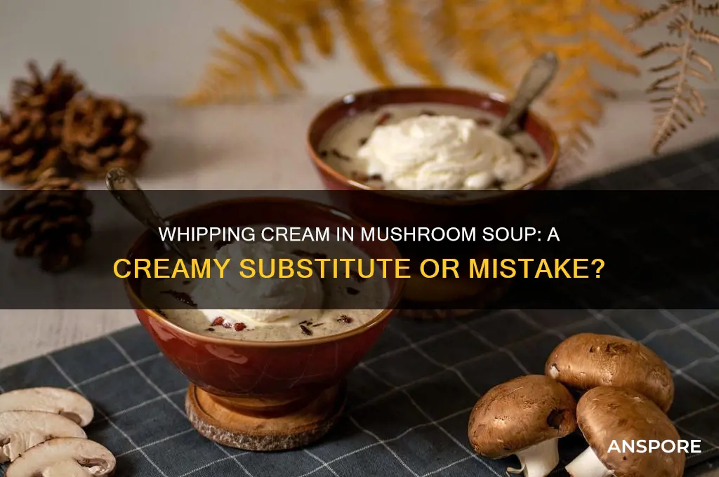 can i use whipping cream for mushroom soup