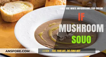 Using White Mushrooms for Creamy Mushroom Soup: A Tasty Alternative