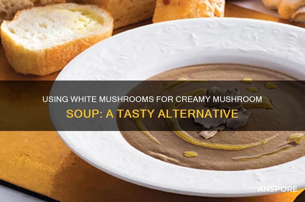can i use white mushrooms for cream if mushroom souo