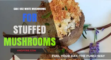 Using White Mushrooms for Stuffed Mushrooms: A Delicious Possibility