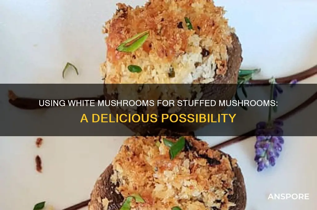 can i use white mushrooms for stuffed mushrooms