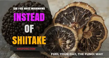 White Mushrooms vs. Shiitake: A Tasty Substitute or Not?