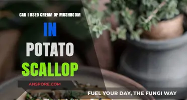 Cream of Mushroom in Potato Scallop: A Tasty Twist?
