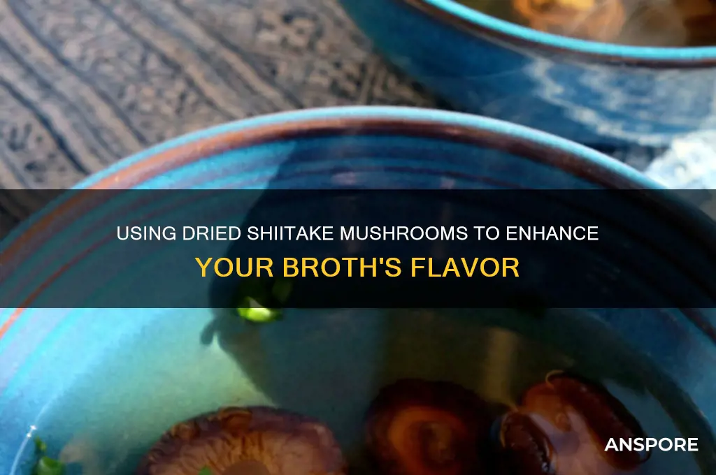 can i used dried shitake mushrooms in a broth