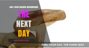 Using Washed Mushrooms the Next Day: Tips and Best Practices