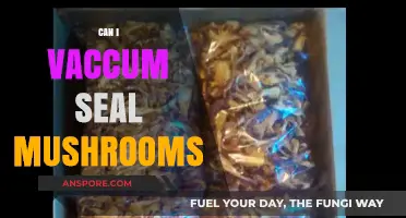 Vacuum Sealing Mushrooms: A Complete Guide to Preservation and Freshness
