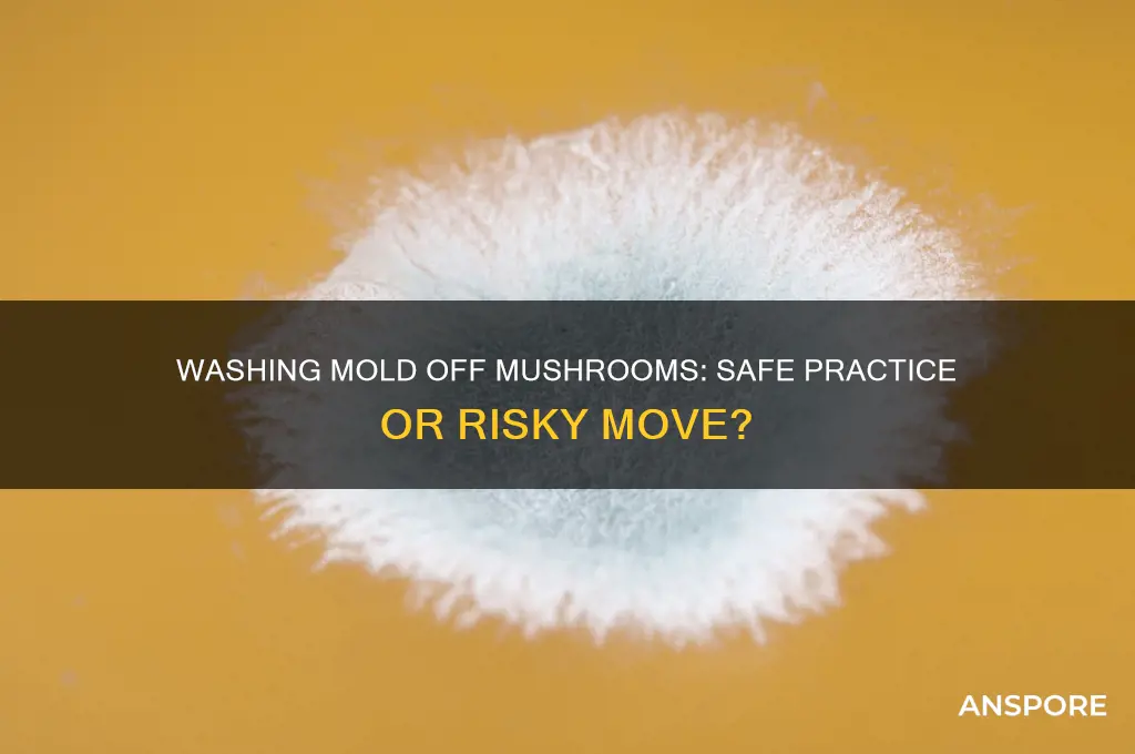 can i wash mold off mushrooms