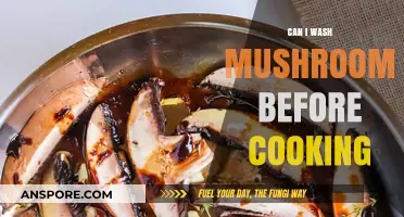 Should You Wash Mushrooms Before Cooking? Tips and Best Practices