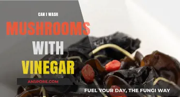 Washing Mushrooms with Vinegar: Safe, Effective, or Harmful?