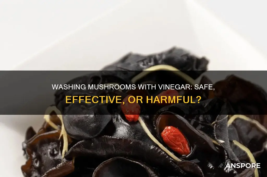 can i wash mushrooms with vinegar