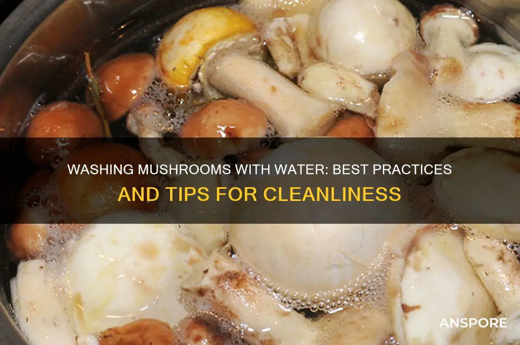 can i wash mushrooms with water