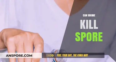 Can Iodine Effectively Kill Spores? Exploring Its Antimicrobial Power