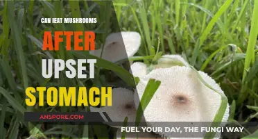 Can You Eat Mushrooms After an Upset Stomach? Expert Advice