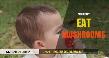 Can Infants Eat Mushrooms? A Safe Feeding Guide for Parents