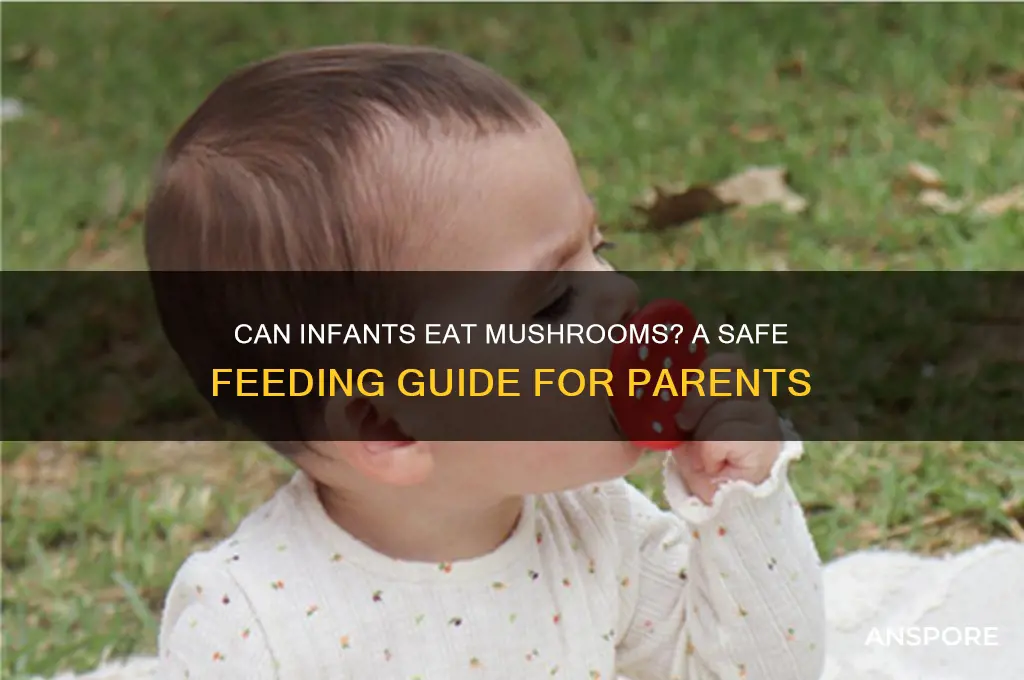 can infant eat mushrooms