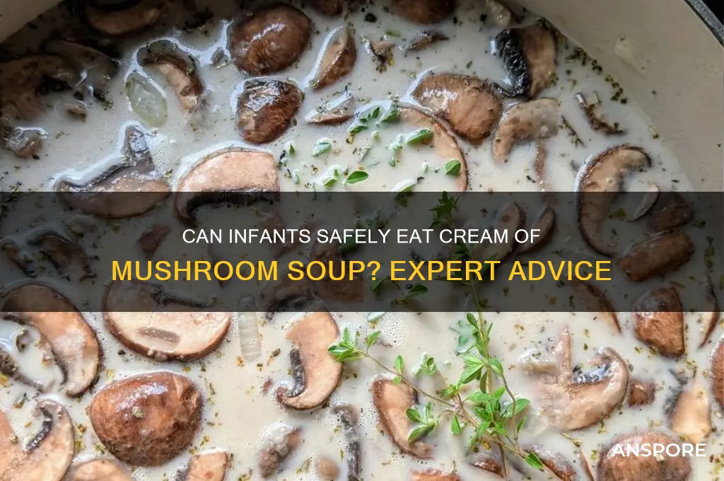 can infants have cream of mushroom soup