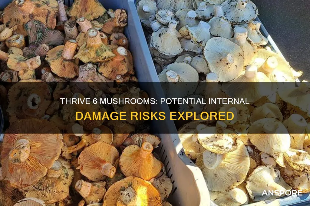 can ingesting thrive 6 mushrooms cause internal damage
