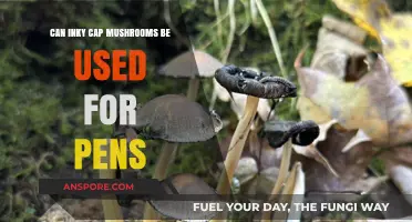 Inky Cap Mushrooms as Pen Ink: Creative Uses Explored