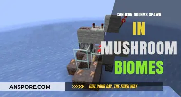 Do Iron Golems Spawn in Mushroom Biomes? Minecraft Secrets Revealed