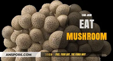 Can Jains Eat Mushrooms? Exploring Dietary Guidelines and Beliefs