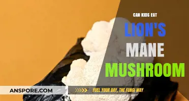 Lion's Mane Mushrooms for Kids: Safe, Nutritious, or Risky?