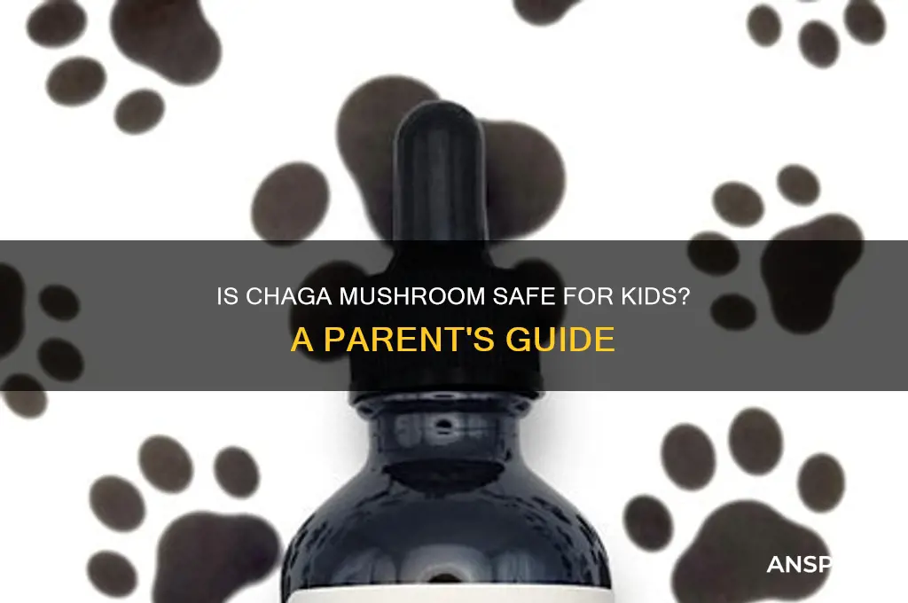 can kids have chaga mushroom