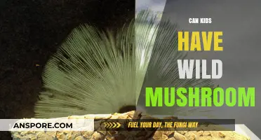 Can Kids Safely Eat Wild Mushrooms? A Parent's Guide
