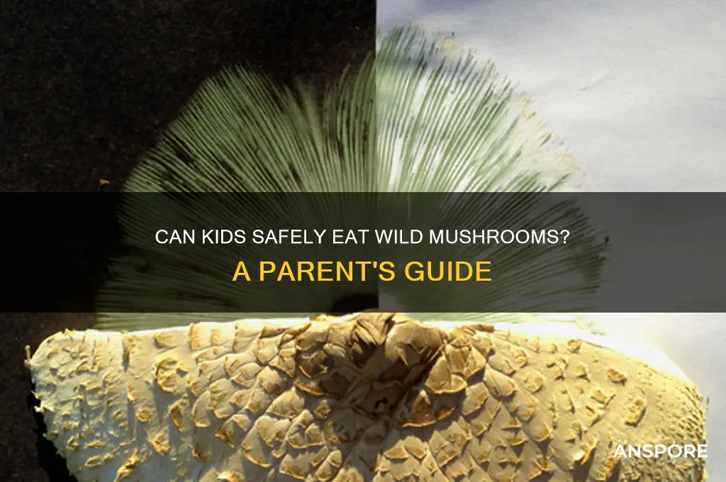 can kids have wild mushrooms