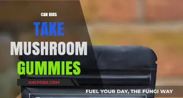 Are Mushroom Gummies Safe for Kids? What Parents Need to Know