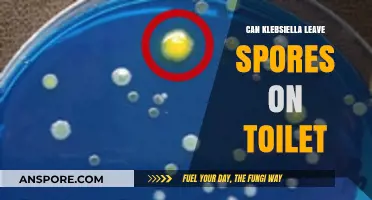 Can Klebsiella Leave Spores on Toilet Surfaces? Facts Revealed