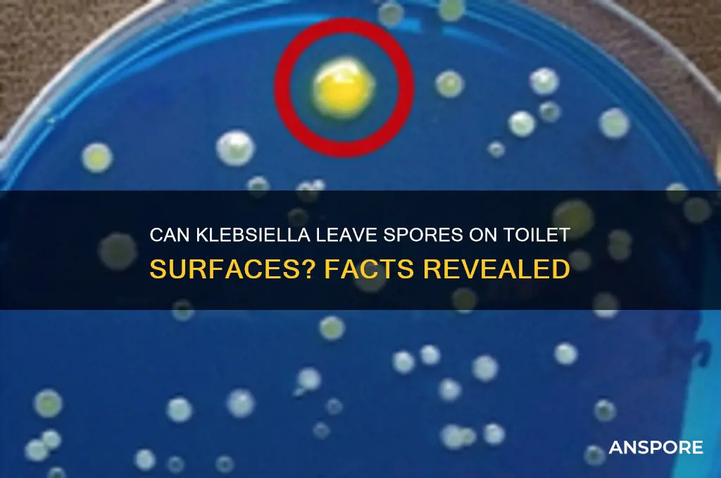 can klebsiella leave spores on toilet