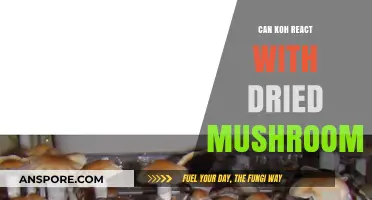 Exploring Potassium Hydroxide's Reaction with Dried Mushrooms: A Chemical Analysis