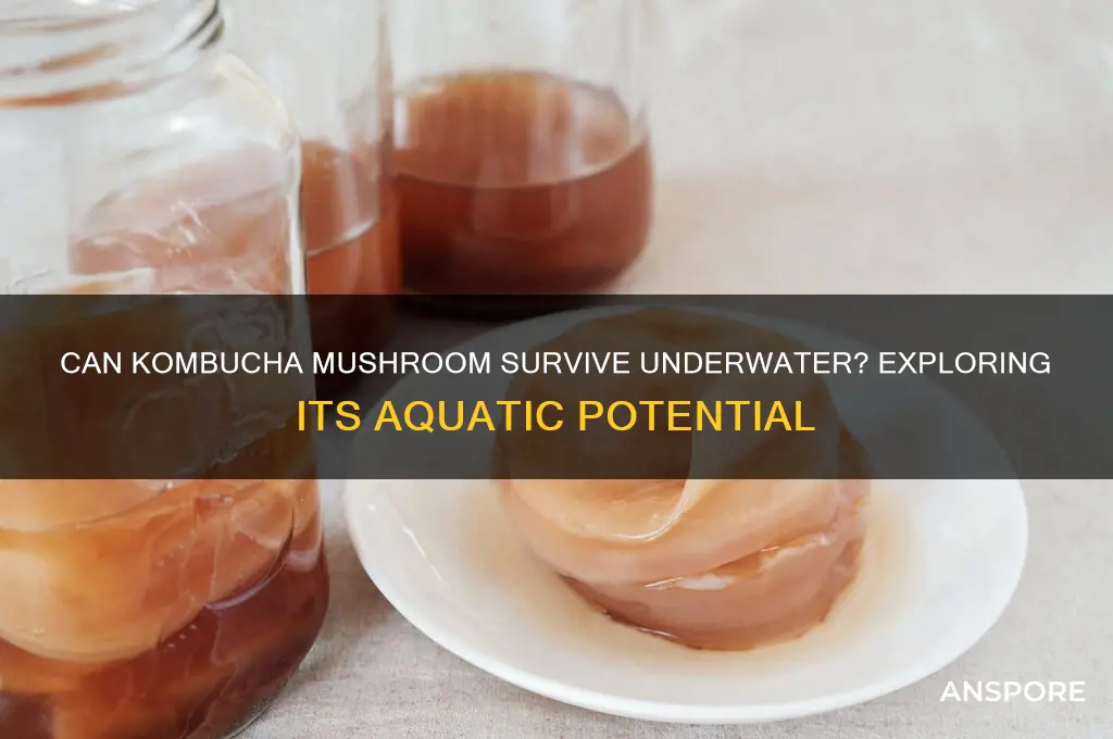 can kombucha mushroom go underwater