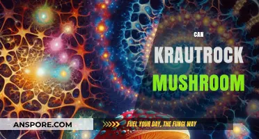 Exploring Krautrock's Psychedelic Roots: Can Mushrooms Inspire Cosmic Soundscapes?