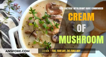 Lactose Intolerance and Condensed Cream of Mushroom: What You Need to Know