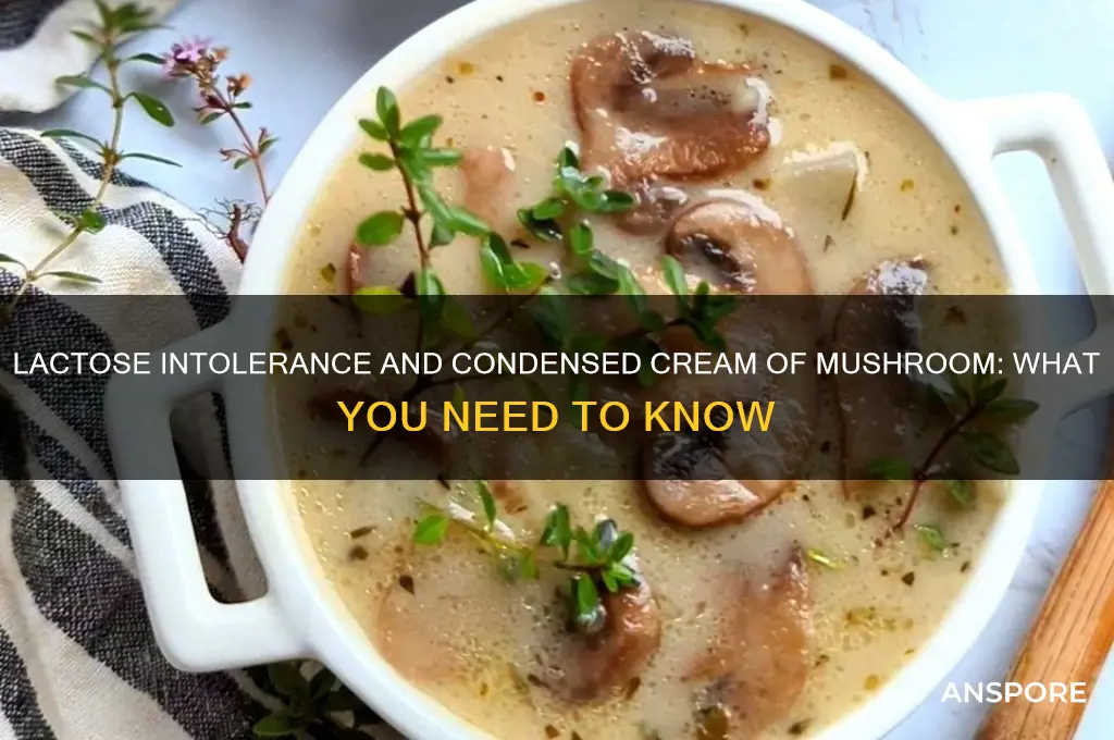 can lactose intolerant have condensed cream of mushroom