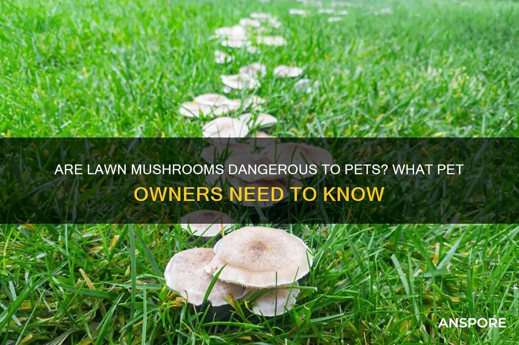 can lawn mushrooms harm pets
