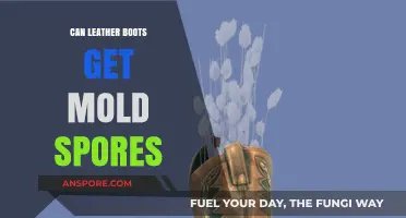 Can Leather Boots Get Mold Spores? Prevention and Care Tips