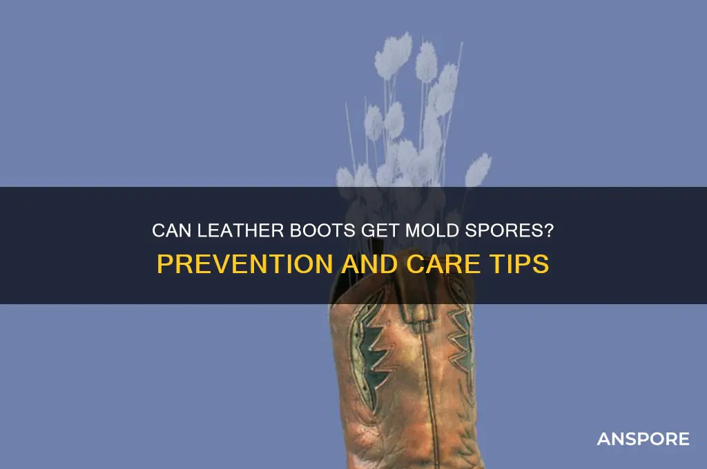 can leather boots get mold spores