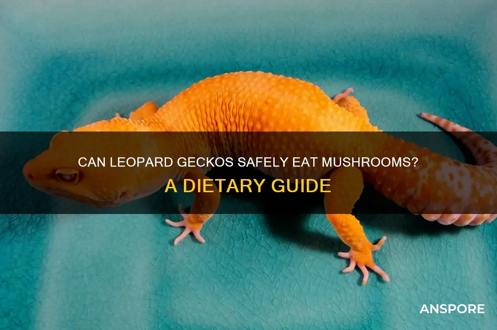 can leopard geckos eat mushrooms