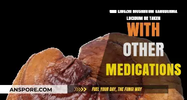 Lingzhi Mushroom (Ganoderma Lucidum): Safe to Combine with Medications?