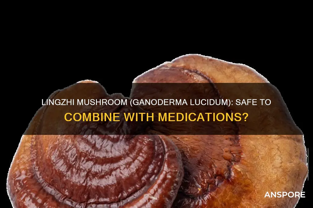 can lingzhi mushroom ganoderma lucidum be taken with other medications
