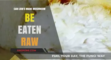 Can You Eat Lion's Mane Mushroom Raw? Facts and Safety Tips