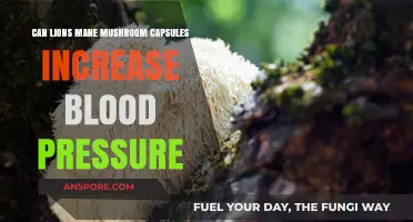 Lions Mane Mushroom Capsules: Potential Effects on Blood Pressure Levels