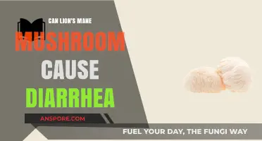 Lion's Mane Mushroom and Diarrhea: Potential Side Effects Explained