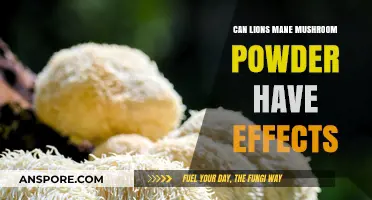 Exploring Lion's Mane Mushroom Powder: Potential Effects and Benefits